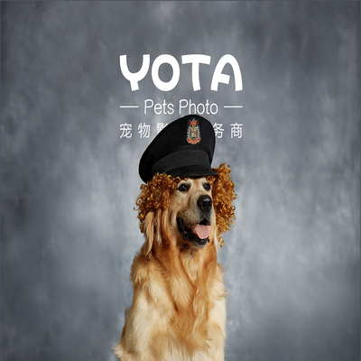 YOTA（有它）· 就够了！YOTAPET.COM 宠物生活平台！YOTA Pets Photo 宠物影像服务商！ - 中国顶尖宠物视觉公司，宠物行业整体视觉领导者。